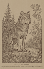 Takaya – Island Guardian (2013) – Laser Engraved Wooden Wall Art