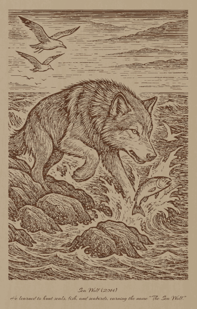 Sea Wolf (2014) – Laser Engraved Wooden Wall Art