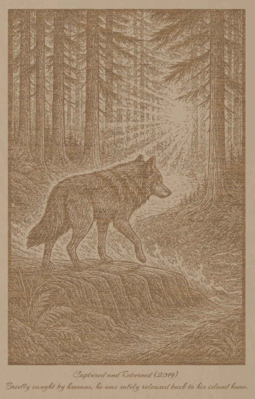 Takaya – Captured and Returned (2019) – Laser Engraved Wooden Wall Art