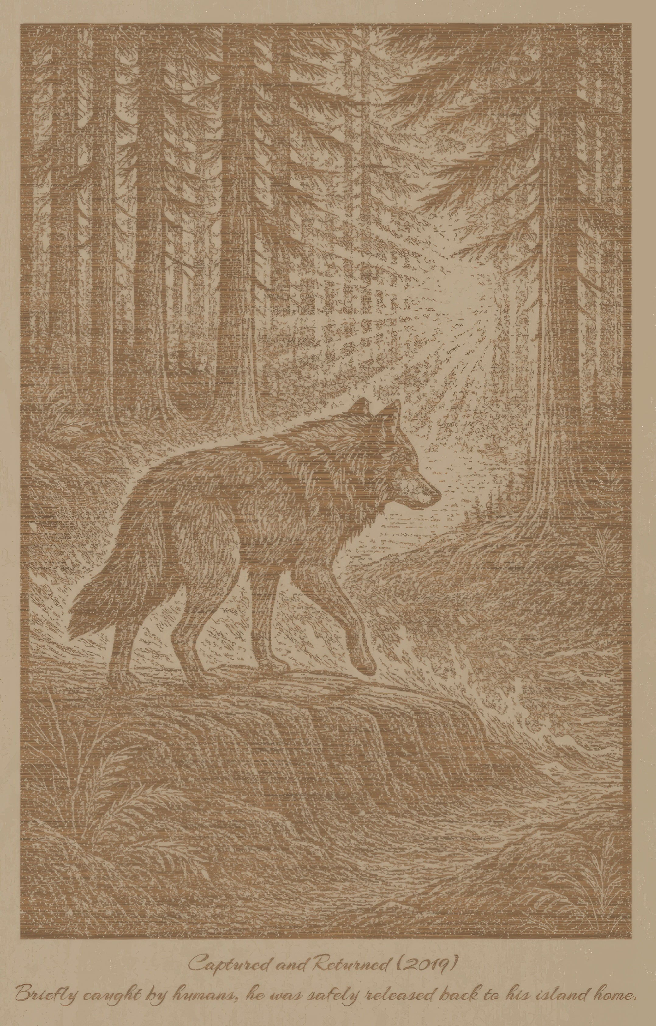 Takaya – Captured and Returned (2019) – Laser Engraved Wooden Wall Art